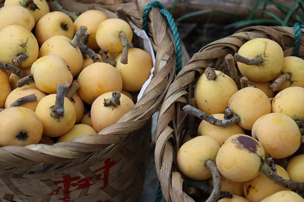 9999js金沙老品牌