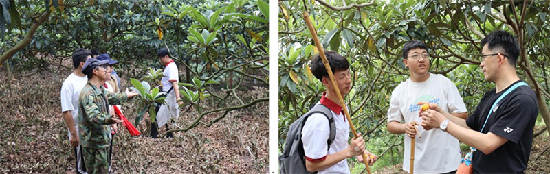 9999js金沙老品牌