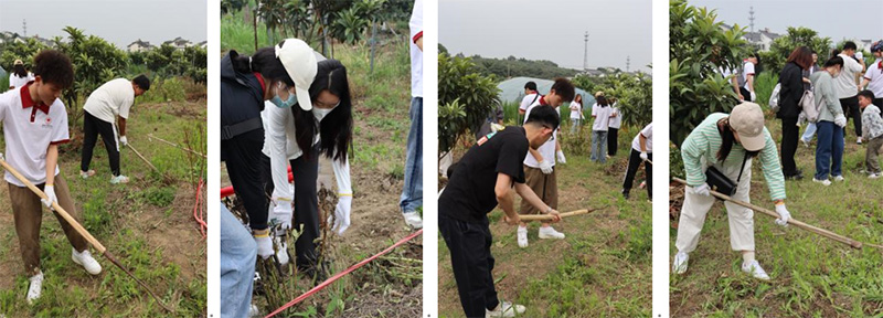 9999js金沙老品牌