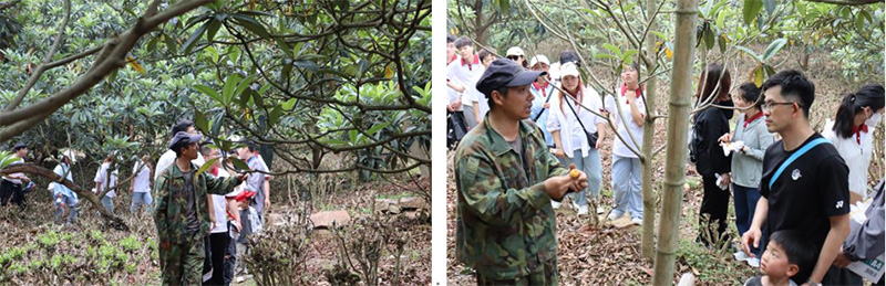 9999js金沙老品牌